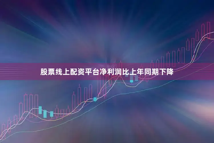 股票线上配资平台净利润比上年同期下降