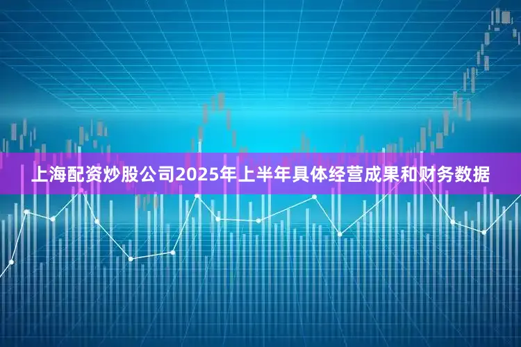 上海配资炒股公司2025年上半年具体经营成果和财务数据