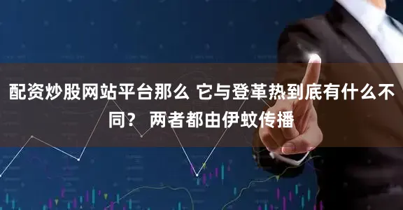 配资炒股网站平台那么 它与登革热到底有什么不同？ 两者都由伊蚊传播