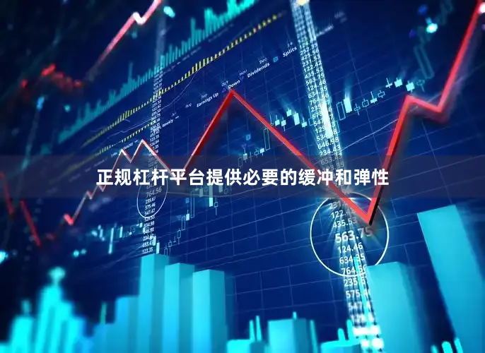 正规杠杆平台提供必要的缓冲和弹性